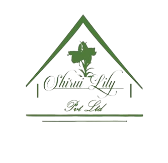 Shirui Lily